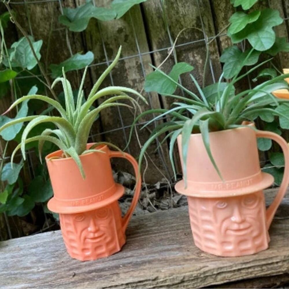Vintage Light Peach MR PEANUT Mini Planter - Planters Mini Cup